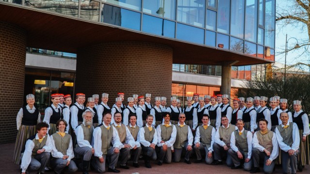 Jauktais koris "Beverīna"